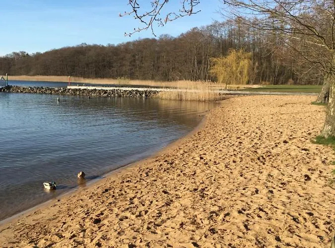 Mit Bootssteg Am In Σπίτι διακοπών Rheinsberg